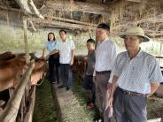 Bí thư Đảng ủy xã Nghĩa Khánh thăm, kiểm tra các mô hình kinh tế hiệu quả trên địa bàn